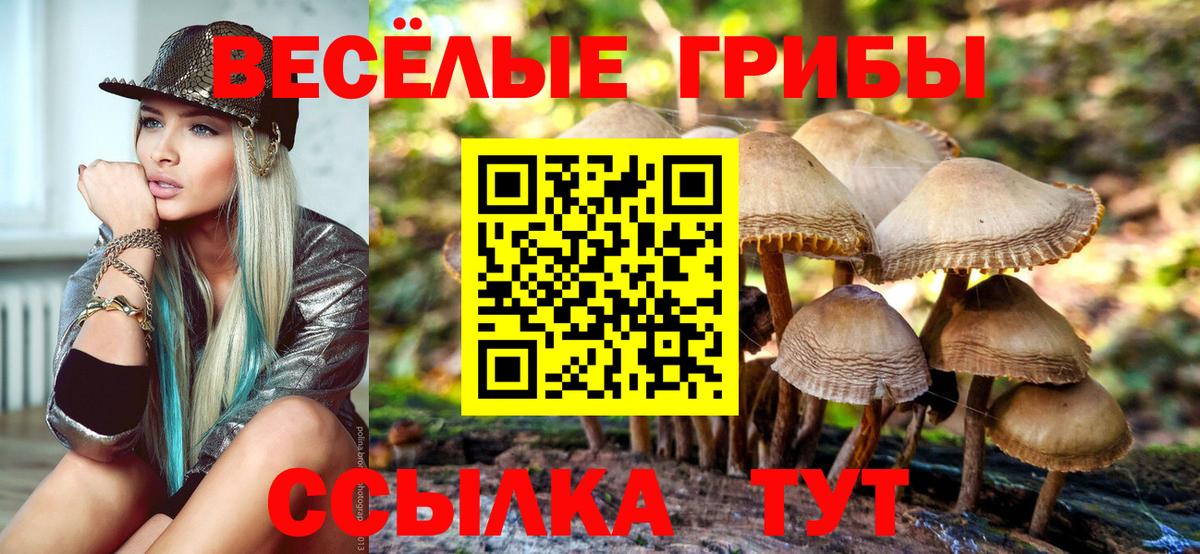 Галлюциногенные грибы мухоморы Курчатов