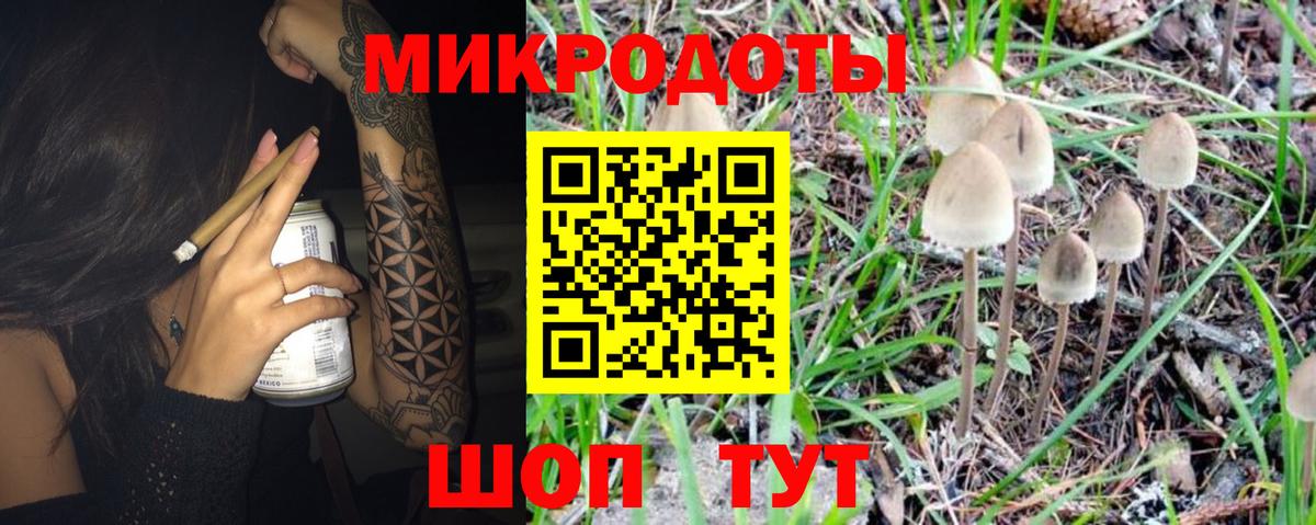 как найти закладки  Псилоцибиновые грибы прущие грибы  Вход с VPN  Галлюциногенные грибы Psilocybine cubensis  Курчатов 